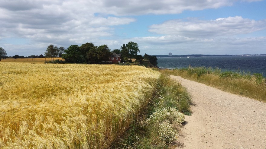 80E22728-4A47-489C-9599-902CECBB7FF6